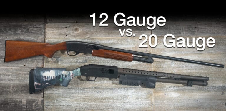 12 Gauge vs 20 Gauge