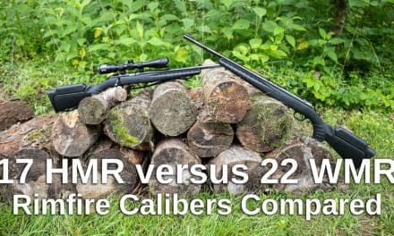 17 HMR vs 22 WMR