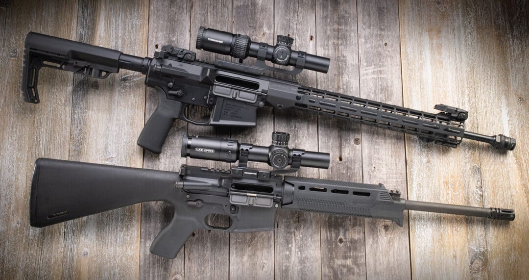 223 vs 308 Two Sides Of The Same Coin AmmoMan School of Guns Blog