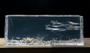 22LR gel test