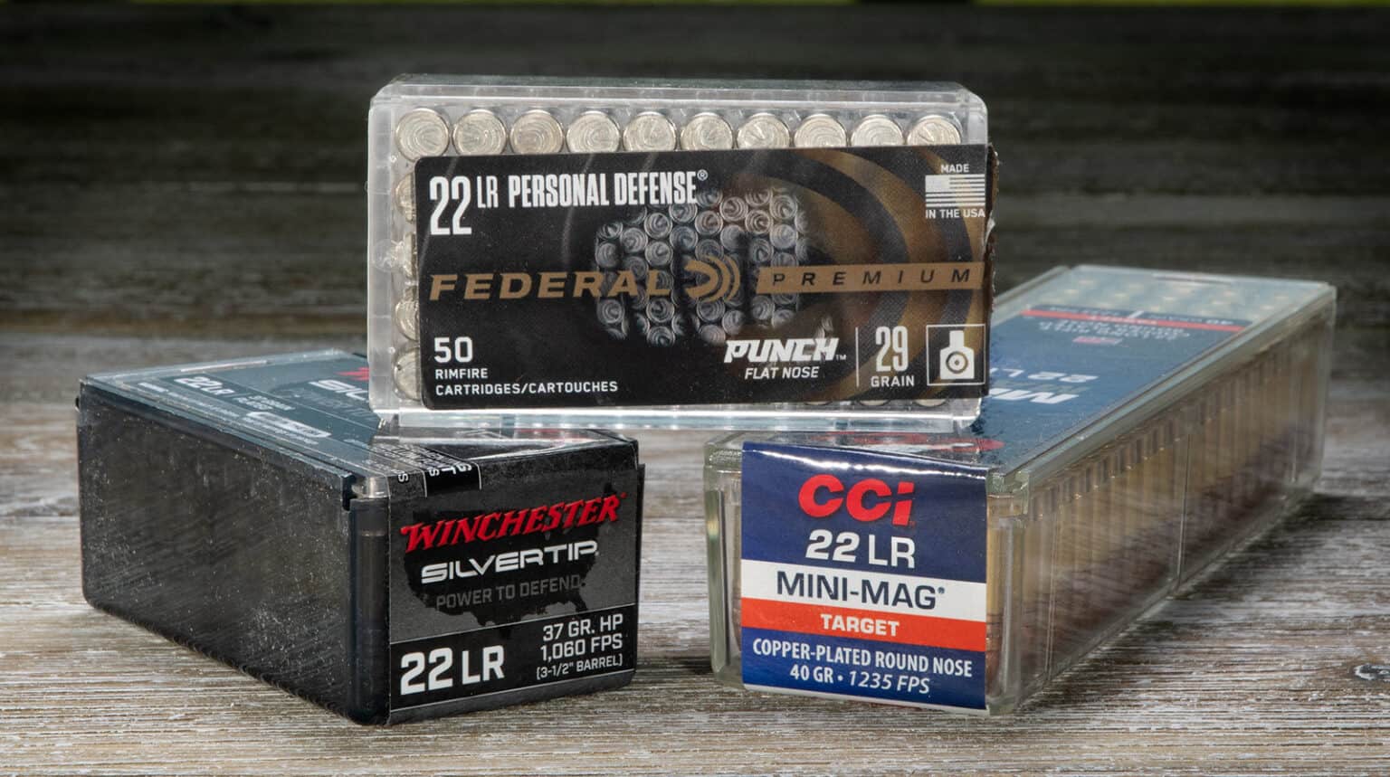 How To Use 22 For Self Defense - AmmoMan School of Guns Blog