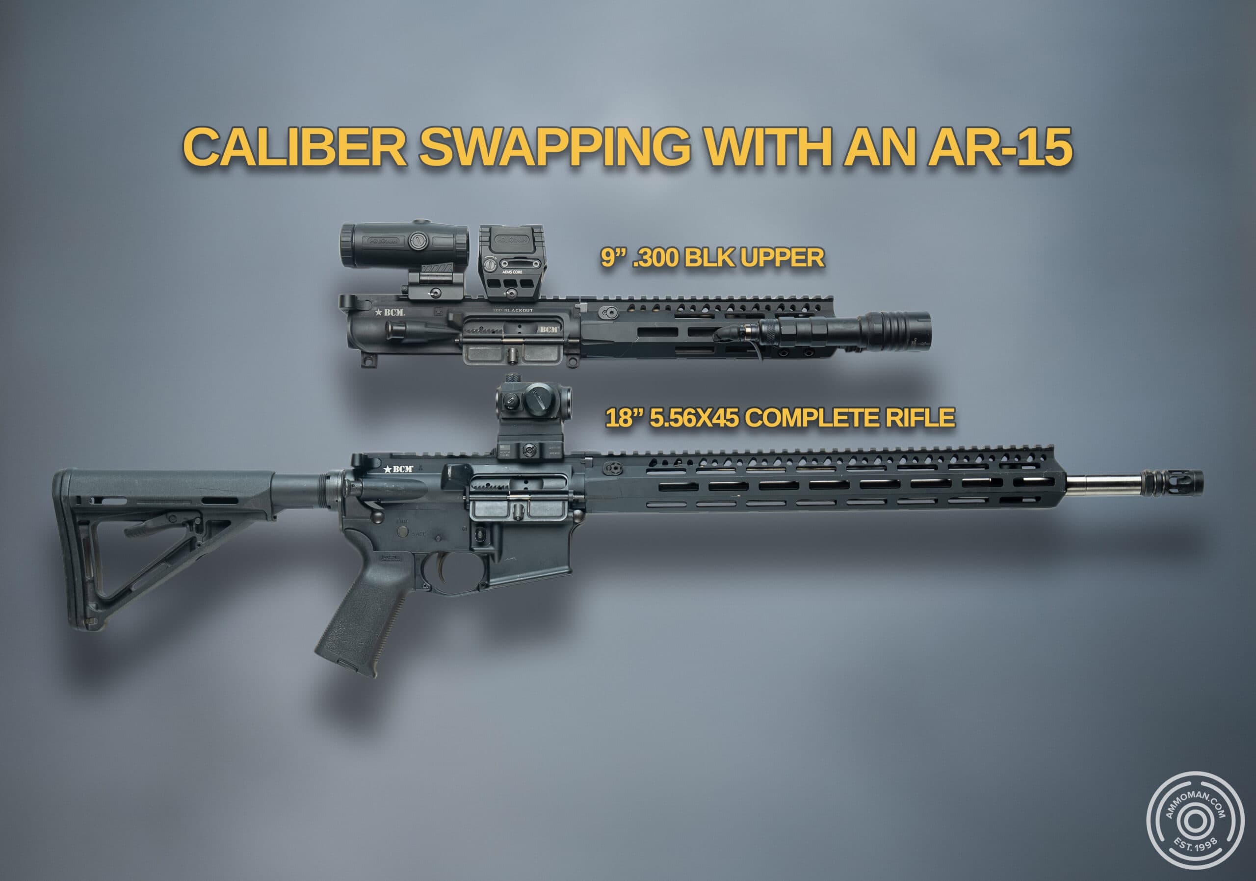 AR-15 with 5.56 and .300 BLK upper.