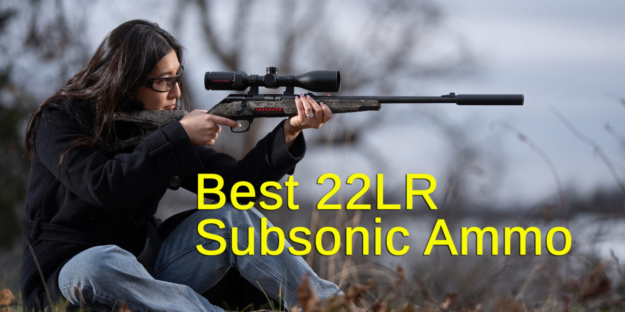 Finding the Best Subsonic 22LR Ammo