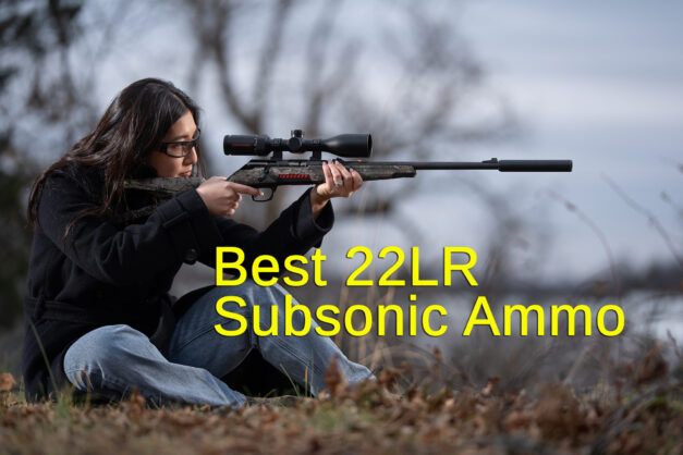 Finding the Best Subsonic 22LR Ammo