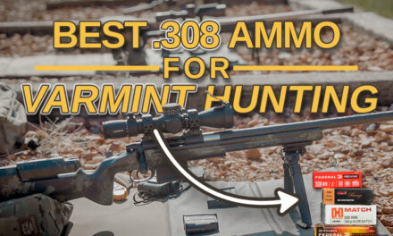 Best 308 Varmint Hunting Ammo