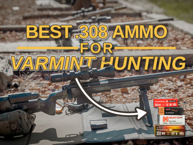Best 308 Varmint Hunting Ammo