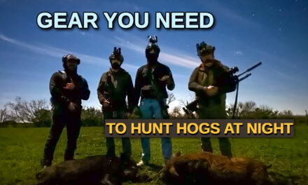 Hog Hunting at Night