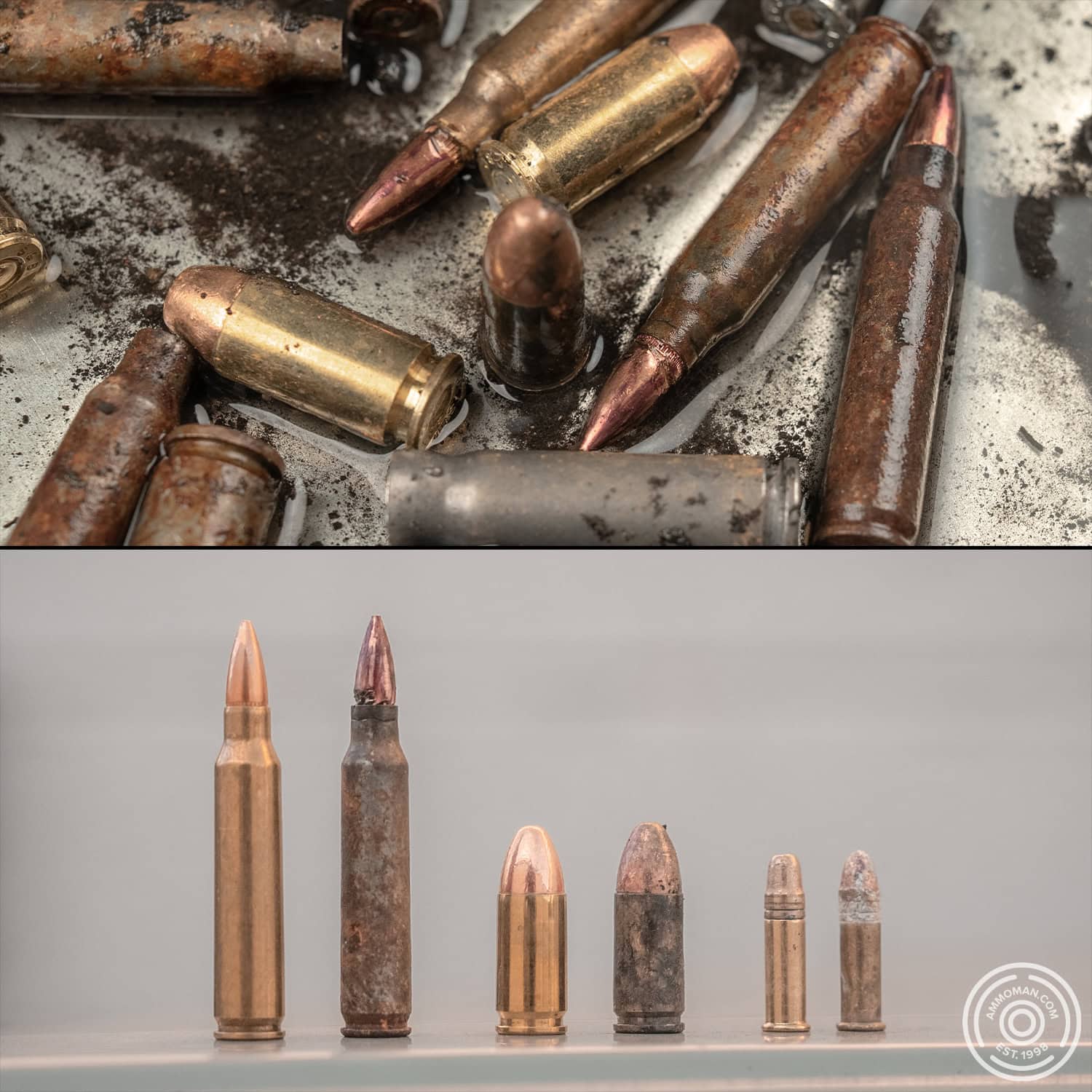 Rusted and corroded ammunition.