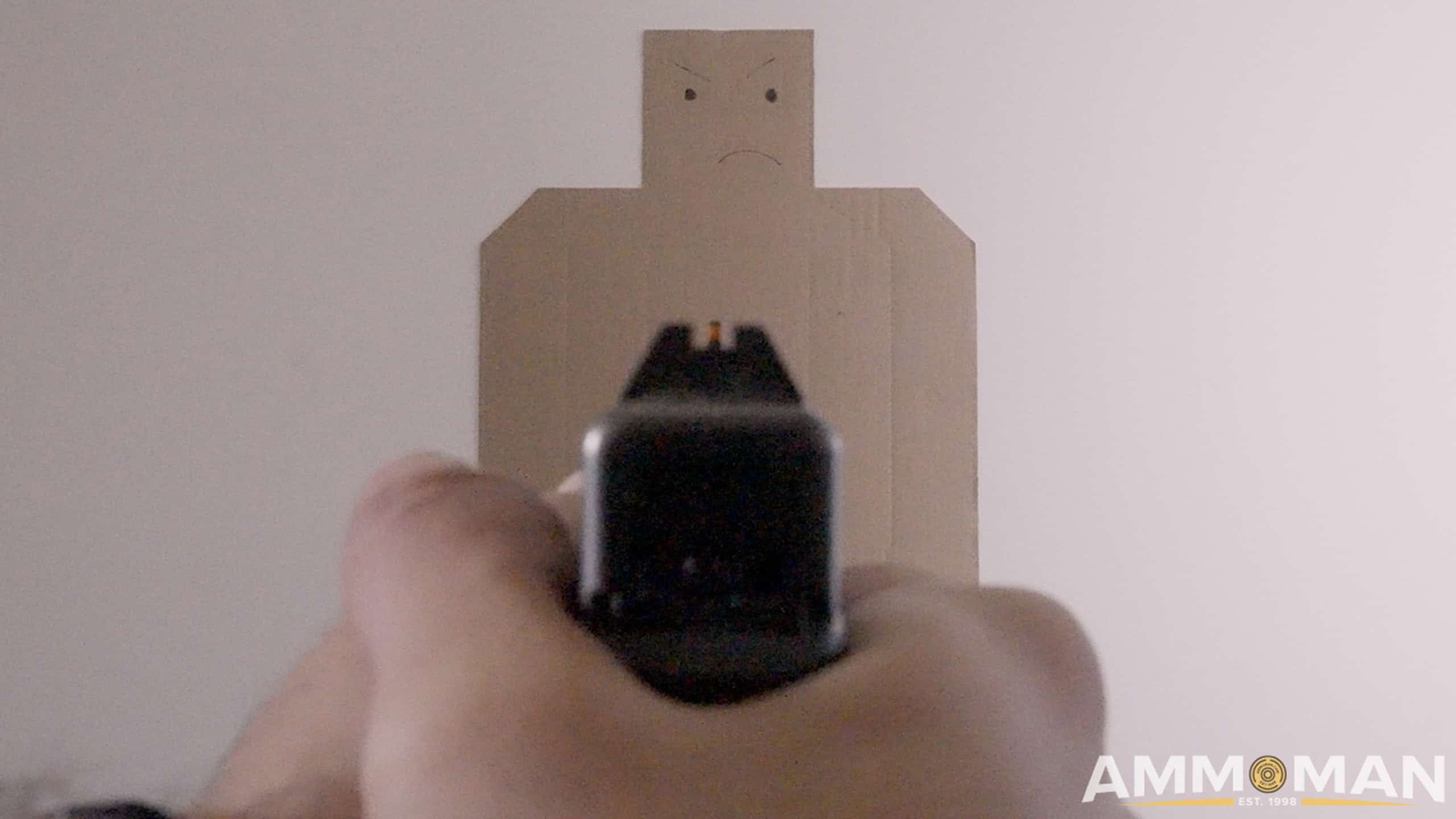 Target focusing with iron sights.