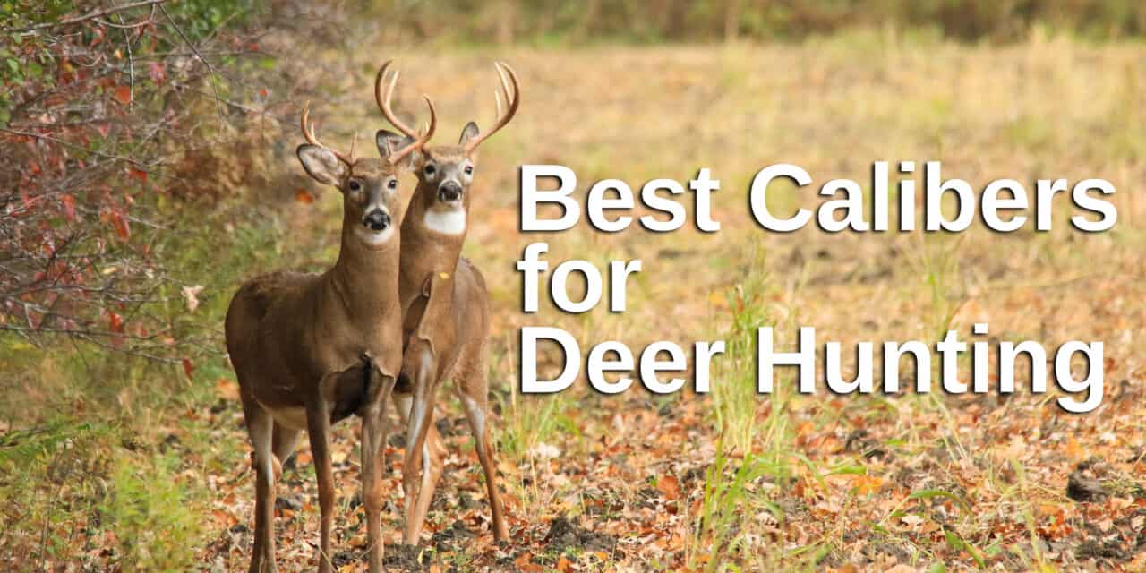 The Best Deer Hunting Caliber A Guide