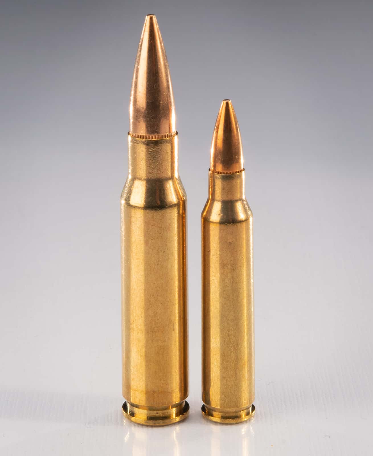 223 vs 308 Two Sides Of The Same Coin AmmoMan School of Guns Blog