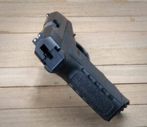 cpx2 sights and back strap