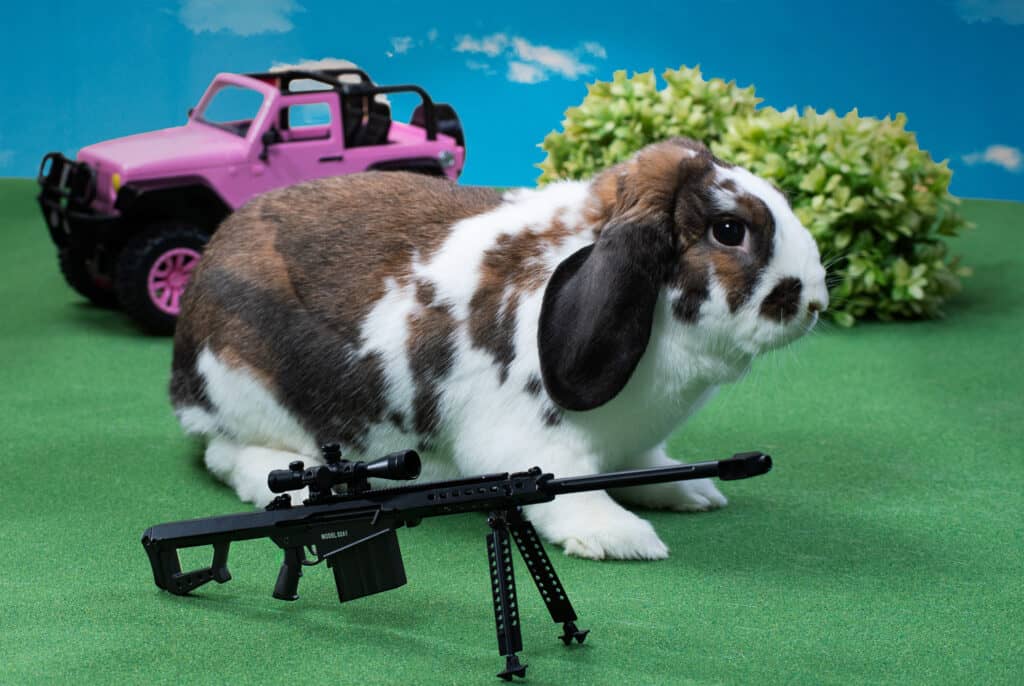 Gun Bunny