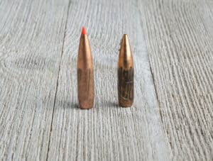 300 blackout bullets