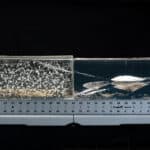 Sellier & Bellot 300 blackout ballistics