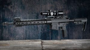 Scout Rifle 2.0