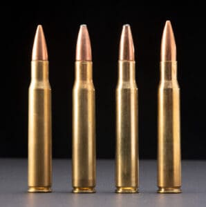 30-06 test rounds